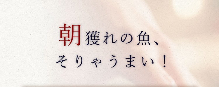 朝獲れの魚、そりゃうまい！